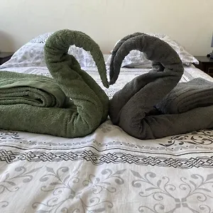 https://bel-appartement-avec-parking-gratuit.hotels-rhonealpes.com